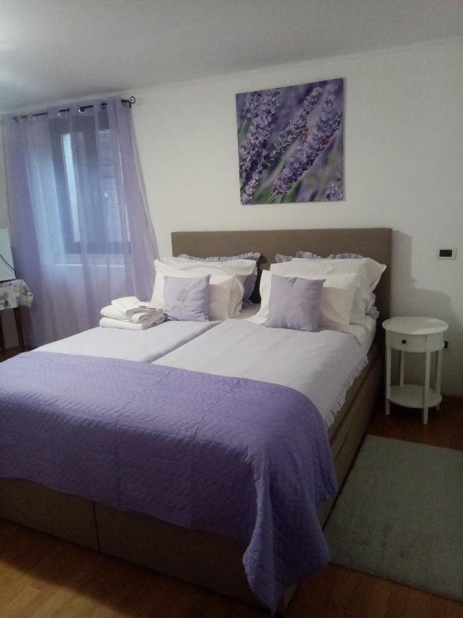 Rooms Serafin Motovun Exteriér fotografie