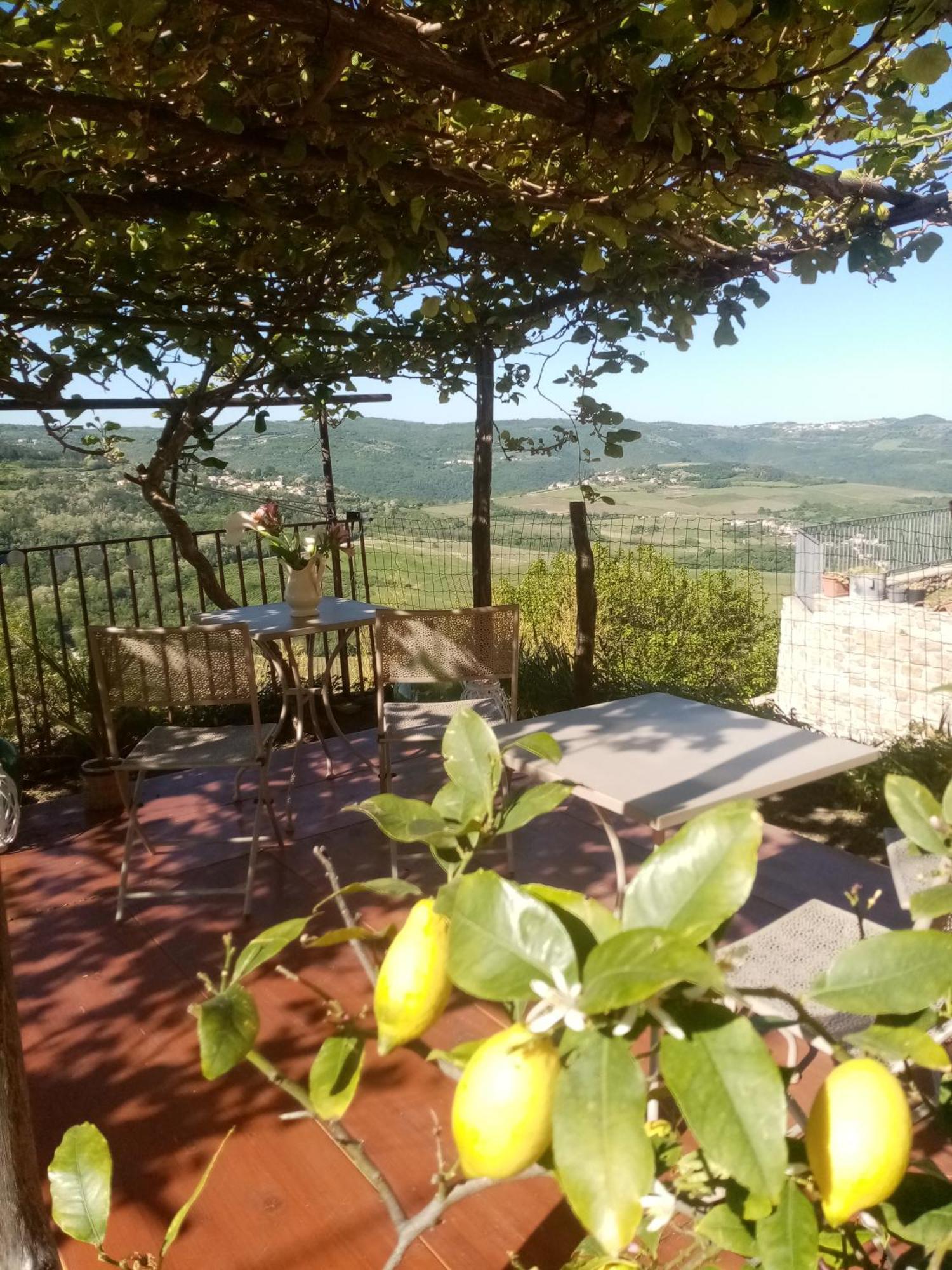 Rooms Serafin Motovun Exteriér fotografie